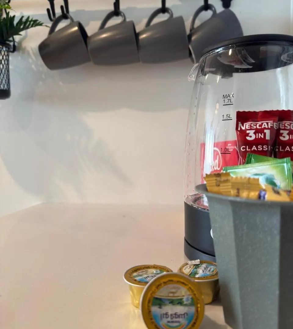 Luxury 2 Bedroom Spectacular Downtown And Sea View Next To Metro 迪拜